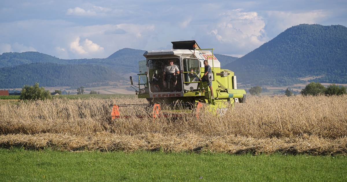 Aratnak, amikor lehet